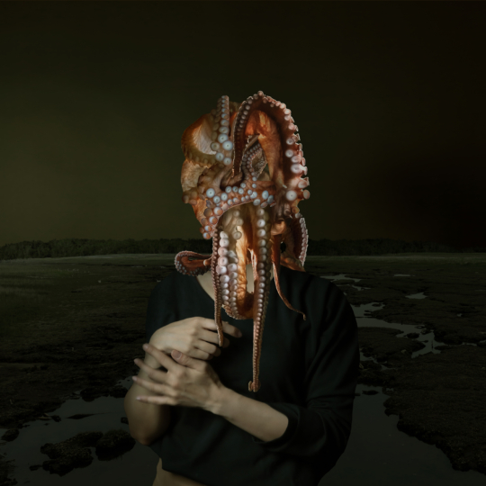 Portrait of an octopus woman 2